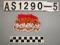 藏品(珠綴髮飾)的圖片